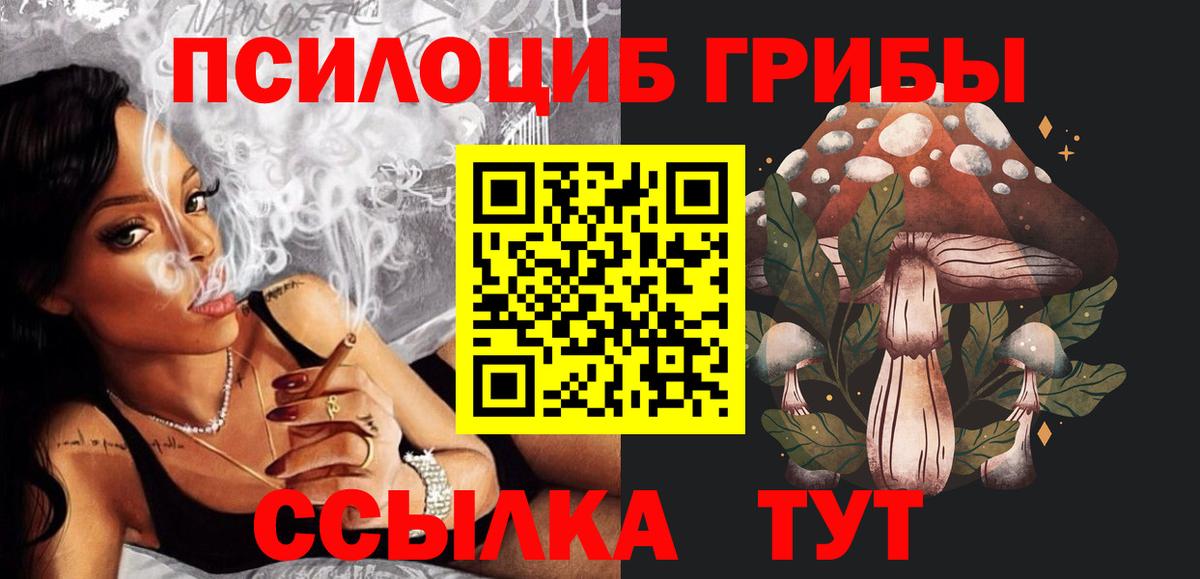 Галлюциногенные грибы Cubensis  Вход с VPN  Кольчугино 